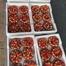 阜阳闻集天仙醉草莓优质鲜果大量现货果型饱满口感软糯香甜