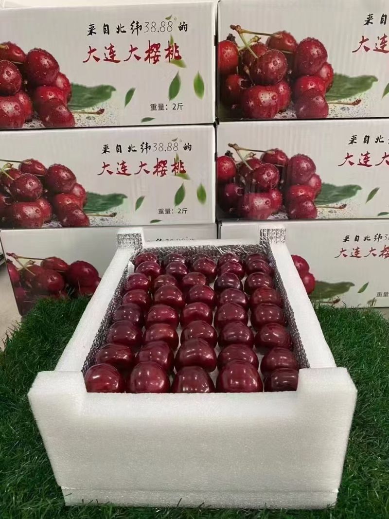 美早樱桃大量上市可批发可零售批承接团购电商全国发货