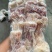 熟牛蹄筋主筋品质保证服务周到产地直发价格美丽