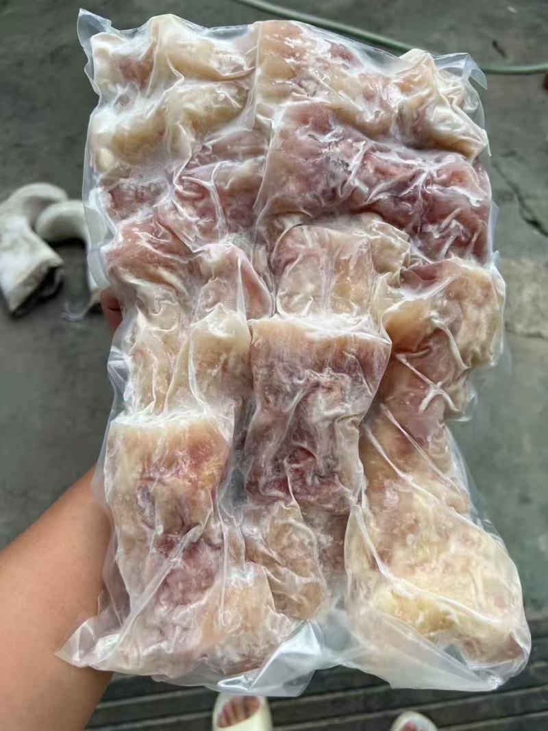 熟牛蹄筋主筋品质保证服务周到产地直发价格美丽