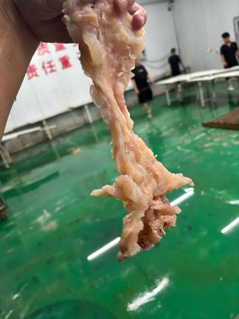 熟牛副筋品质保证服务周到产地直发价格美丽