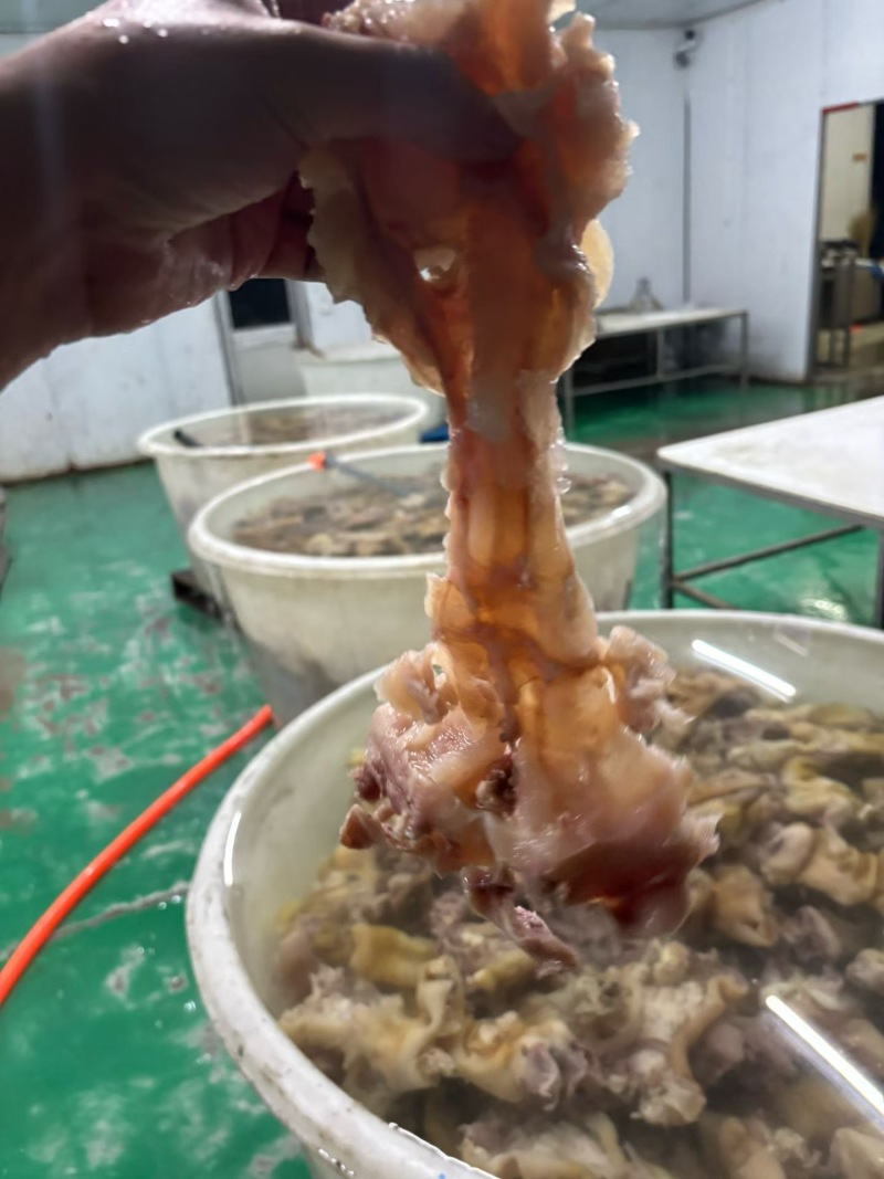 熟牛副筋品质保证服务周到产地直发价格美丽