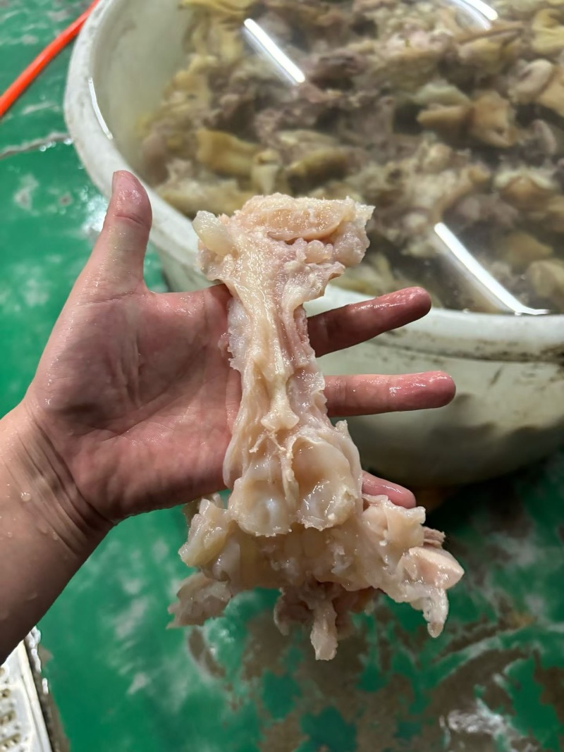 熟牛副筋品质保证服务周到产地直发价格美丽