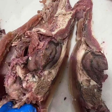 火烧毛去骨牛头肉品质保证服务周到产地直发价格美丽