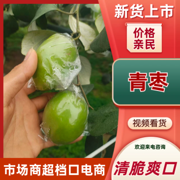 广西本地精品鲜枣，青枣，产地直，量大从优，一手货源