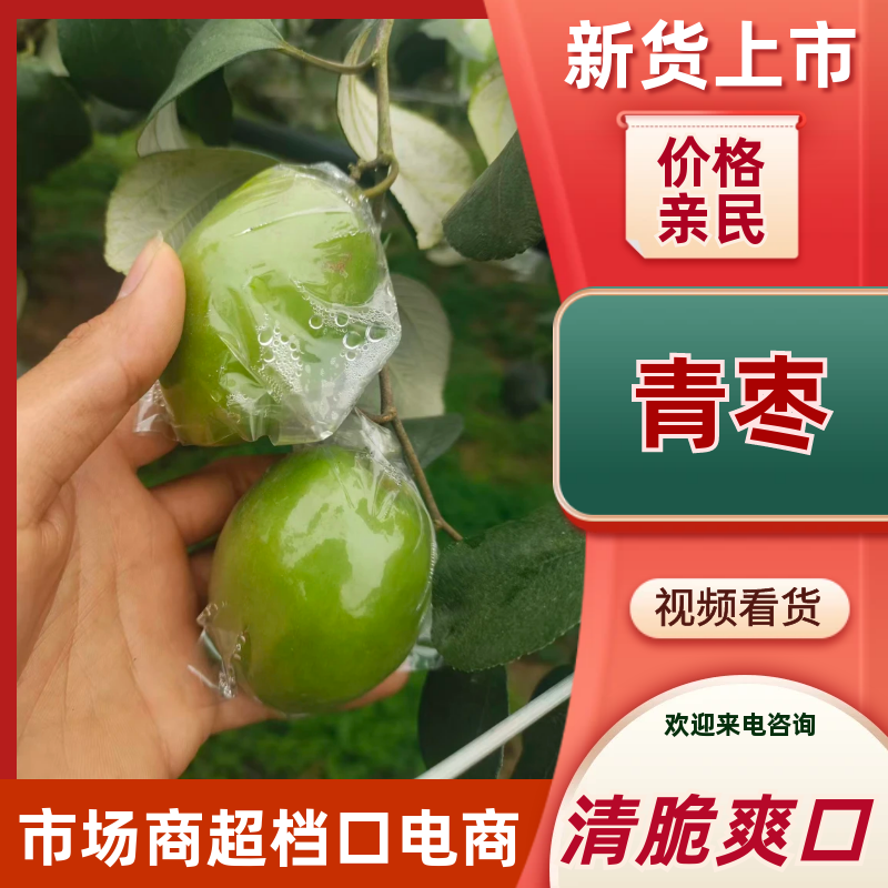 广西本地精品鲜枣，青枣，产地直，量大从优，一手货源