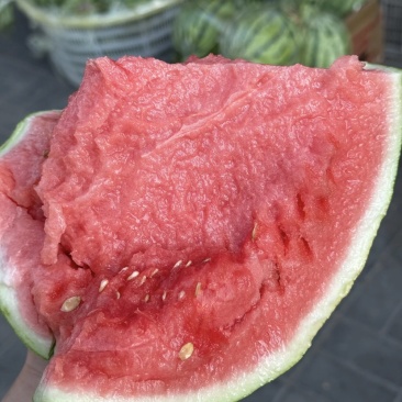 海南精品无籽西瓜全国发货包熟包甜可视频看货