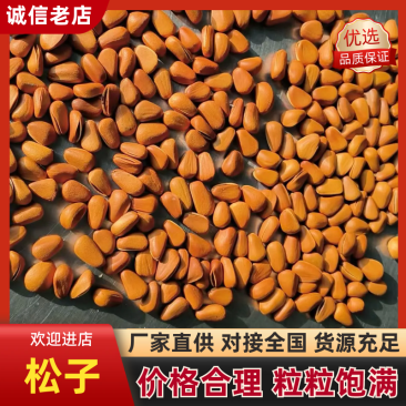 松子红松子精选松子精挑细选对接电商批发一件代发均可