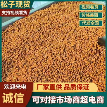 【实力】吉林松子大量现货支持电商一件代发批量拿货