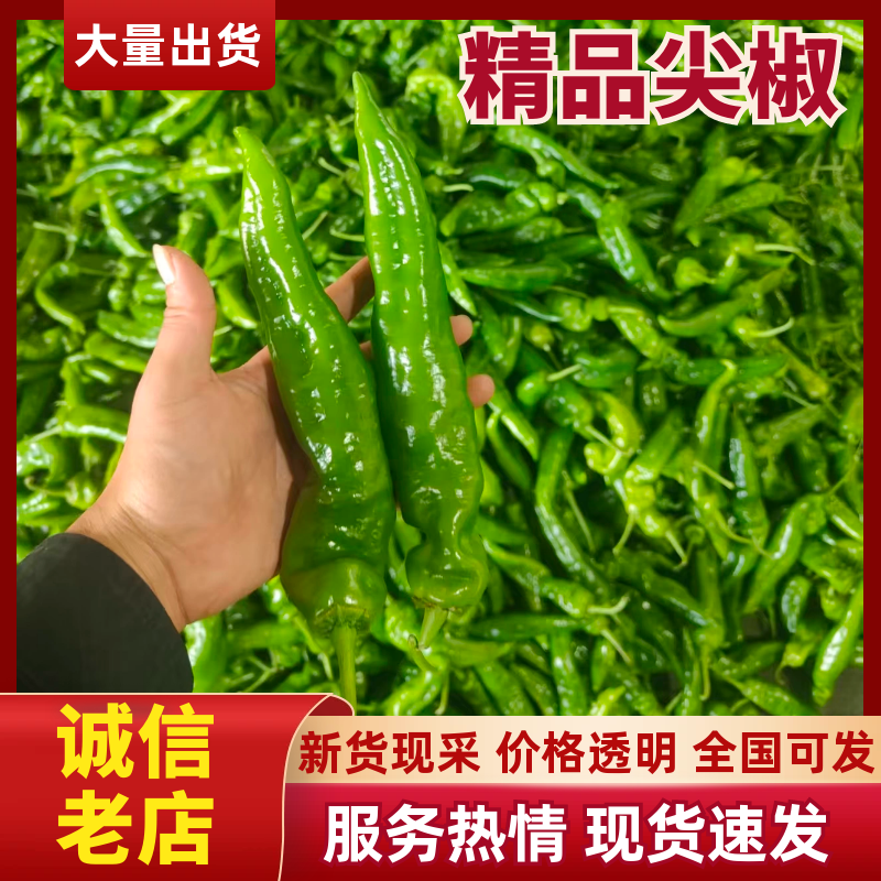 推荐精品黄皮尖椒产地直发量大价优品保障