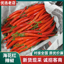 广东省湛江廉江海花红大量上市可品质优可发全国市场欢迎咨询
