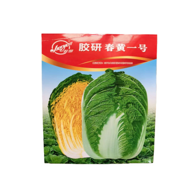 胶研春黄一号白菜种子春播大白菜种子杂交基地高产