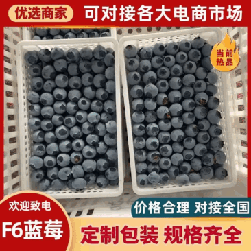 莒县F6蓝莓现货直发承接电商餐饮批发进出口商超蛋糕店