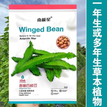 四棱豆种子四角豆种孑香龙豆皇帝豆角籽种爬藤蔬菜种籽四棱豆