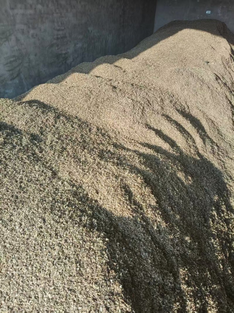 自家产的白术种子.大量现货速发，保质保量欢迎选购