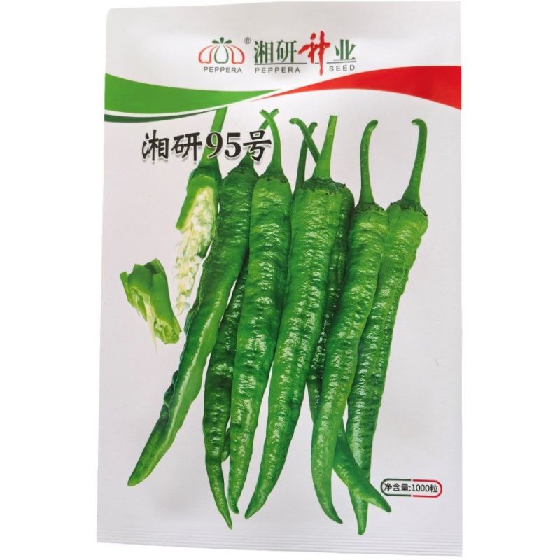 湘研95号辣椒种子春秋播中熟皱皮长牛角椒皮薄微辣质细腻