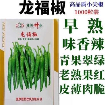 龙福椒种子春秋播早熟软皮味香辣小尖椒种子薄皮质脆嫩蔬菜