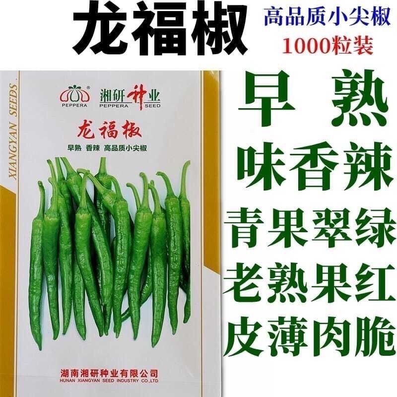 龙福椒种子春秋播早熟软皮味香辣小尖椒种子薄皮质脆嫩蔬菜