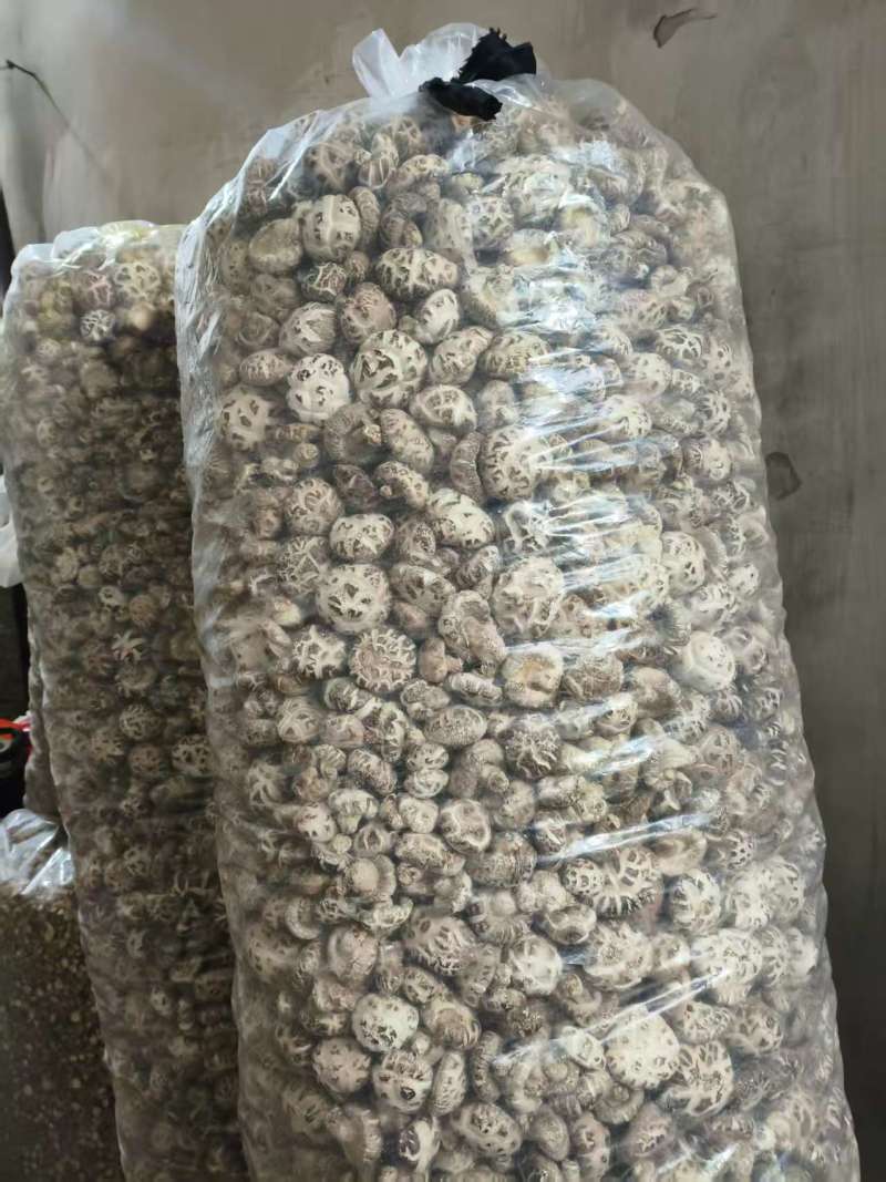 天然干货香菇，一口鲜到家，货源充足支持视频看货