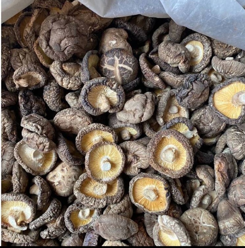 天然干货香菇，一口鲜到家，货源充足支持视频看货