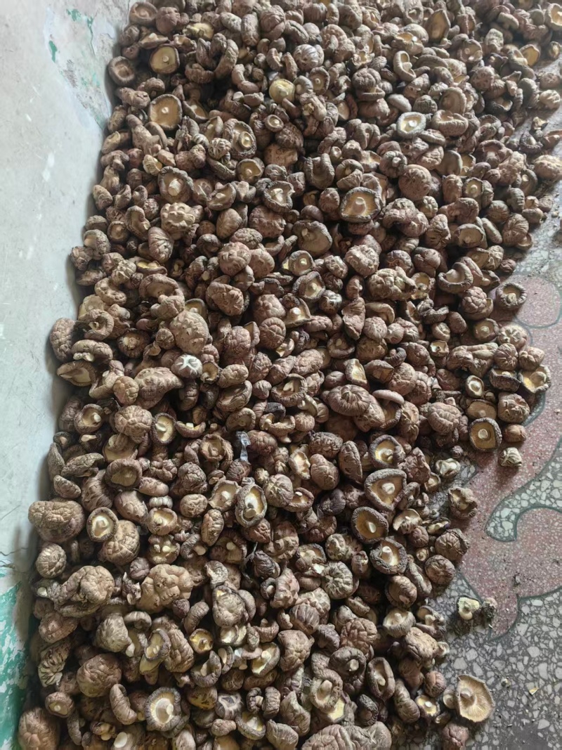 天然干货香菇，一口鲜到家，货源充足支持视频看货