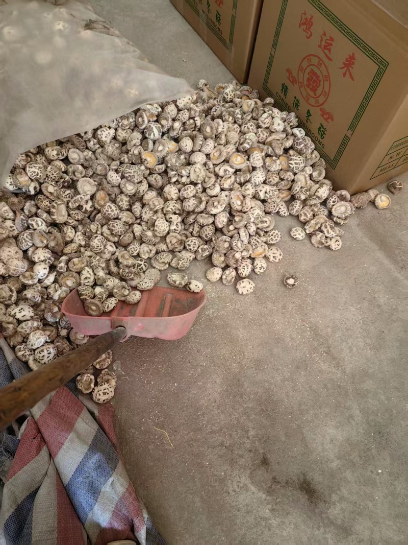 天然干货香菇，一口鲜到家，货源充足支持视频看货