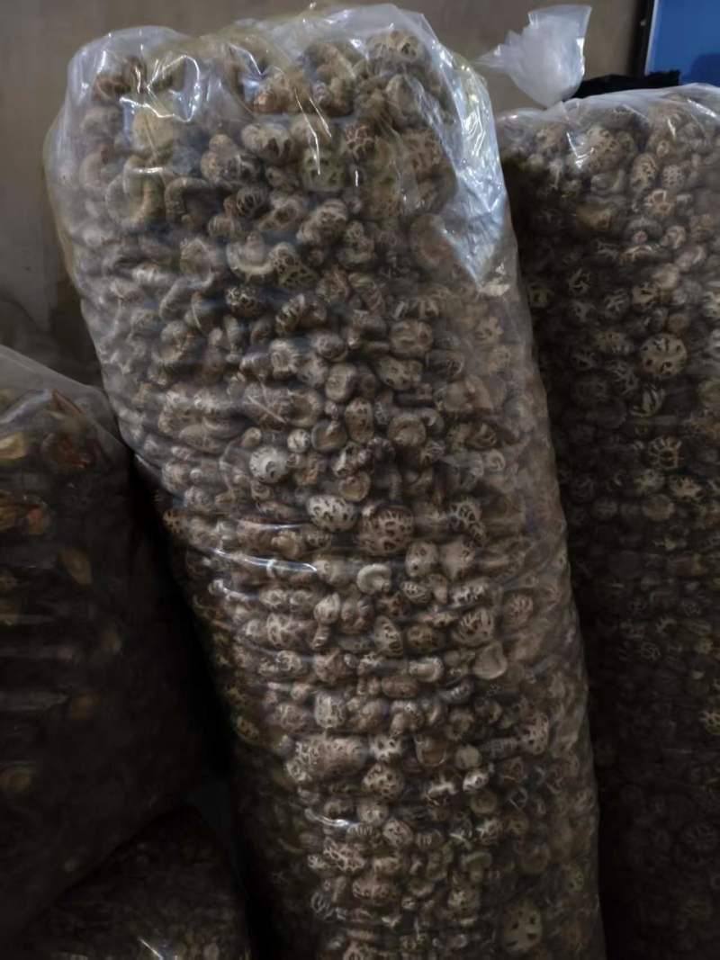 天然干货香菇，一口鲜到家，货源充足支持视频看货