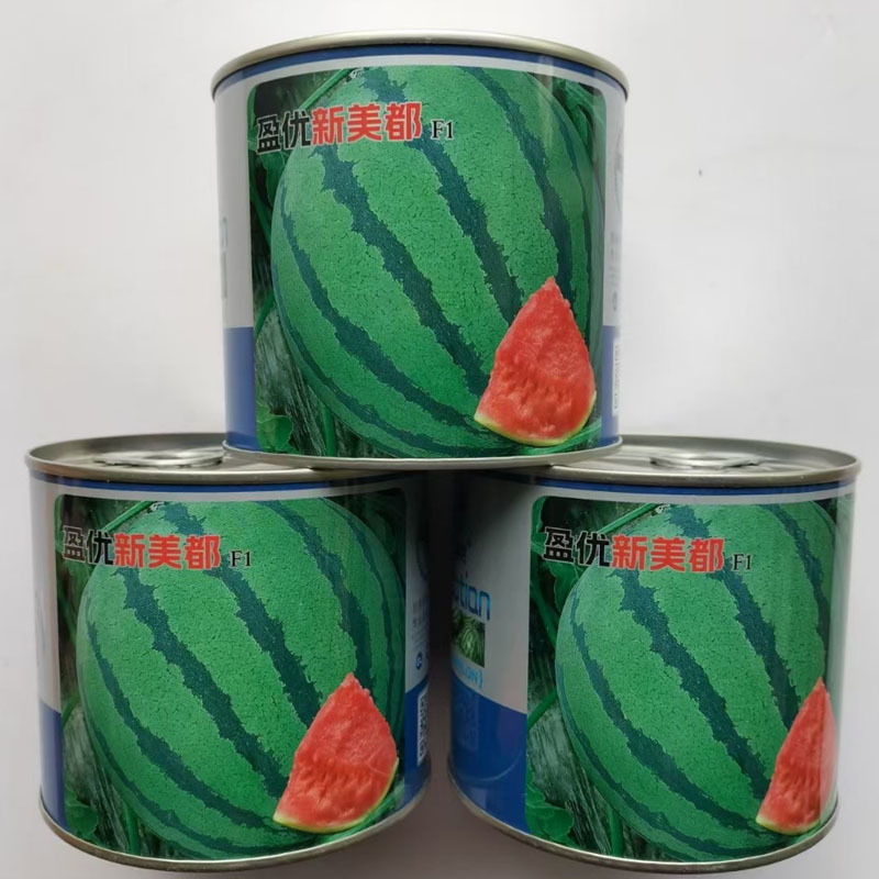 美都西瓜种子盈优新美都西瓜种籽肉质沙脆爽口多汁口感好