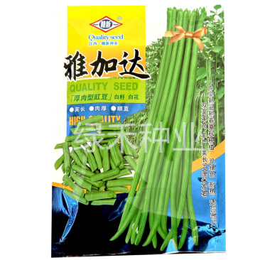 赣新雅加达白籽白花翠绿厚肉长豇豆种子200g耐热长豆角种