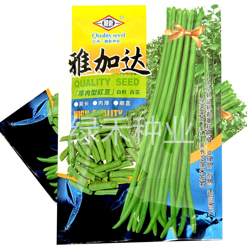 赣新雅加达白籽白花翠绿厚肉长豇豆种子200g耐热长豆角种