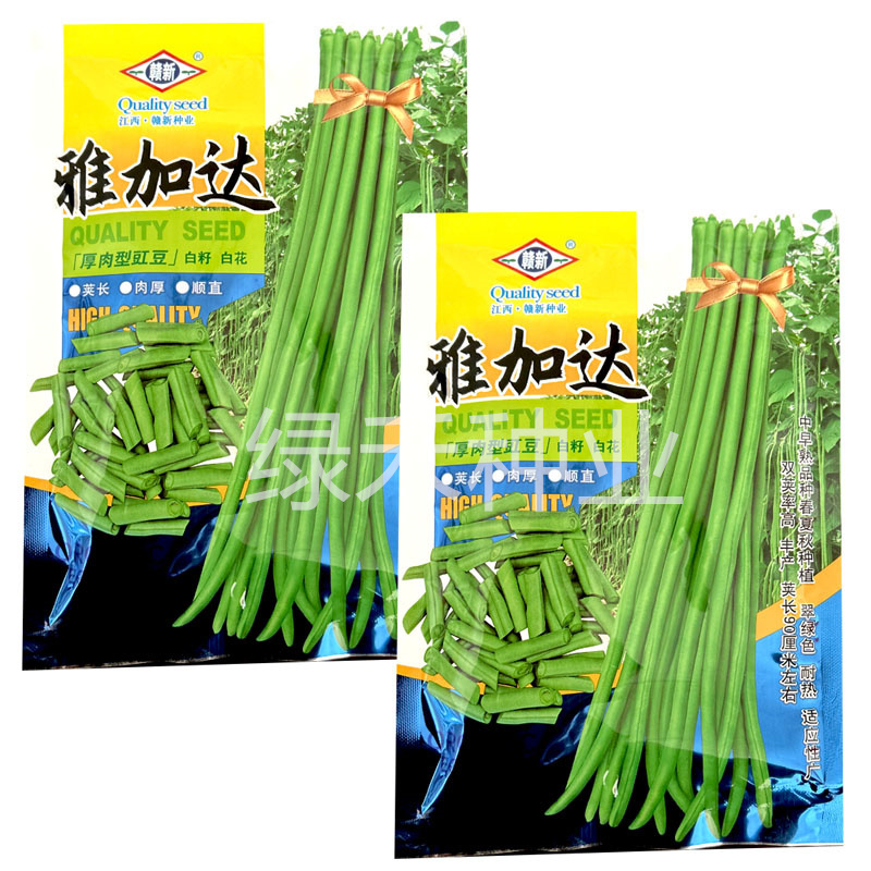赣新雅加达白籽白花翠绿厚肉长豇豆种子200g耐热长豆角种