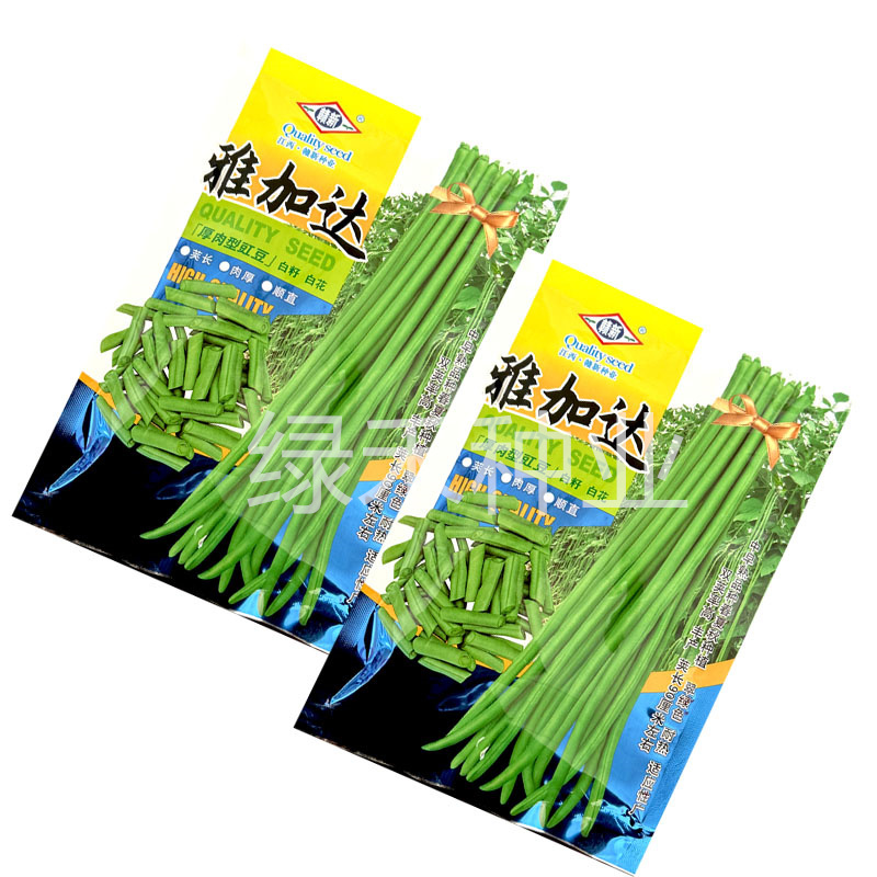 赣新雅加达白籽白花翠绿厚肉长豇豆种子200g耐热长豆角种