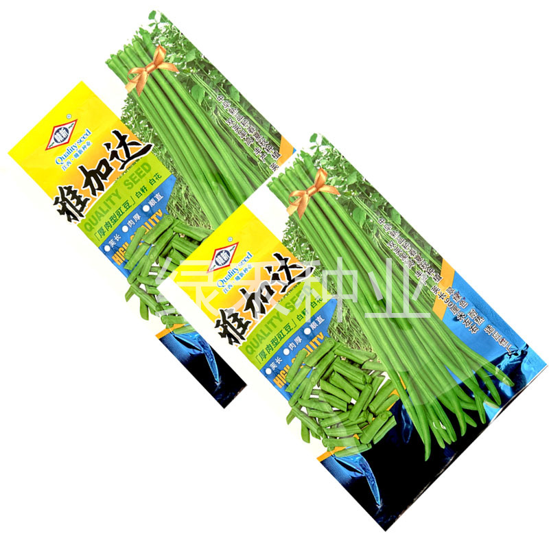 赣新雅加达白籽白花翠绿厚肉长豇豆种子200g耐热长豆角种