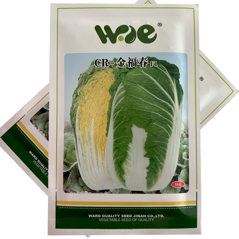 白菜种子CR-金福春大黄芯春白菜种籽10克耐寒耐抽早春