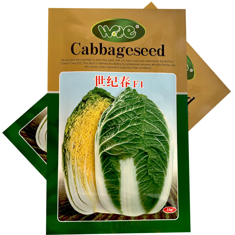 世纪春白菜种子春季韩国黄芯春白菜种籽耐寒耐抽早春黄心大白