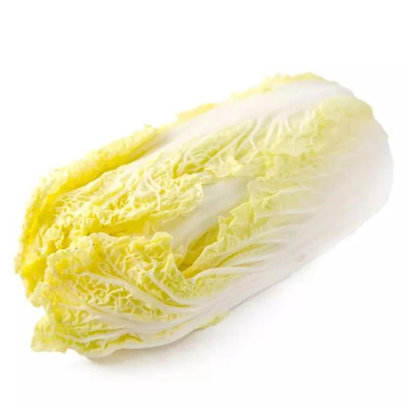 胶研金娃50娃娃菜种子高产黄心小白菜种子基地