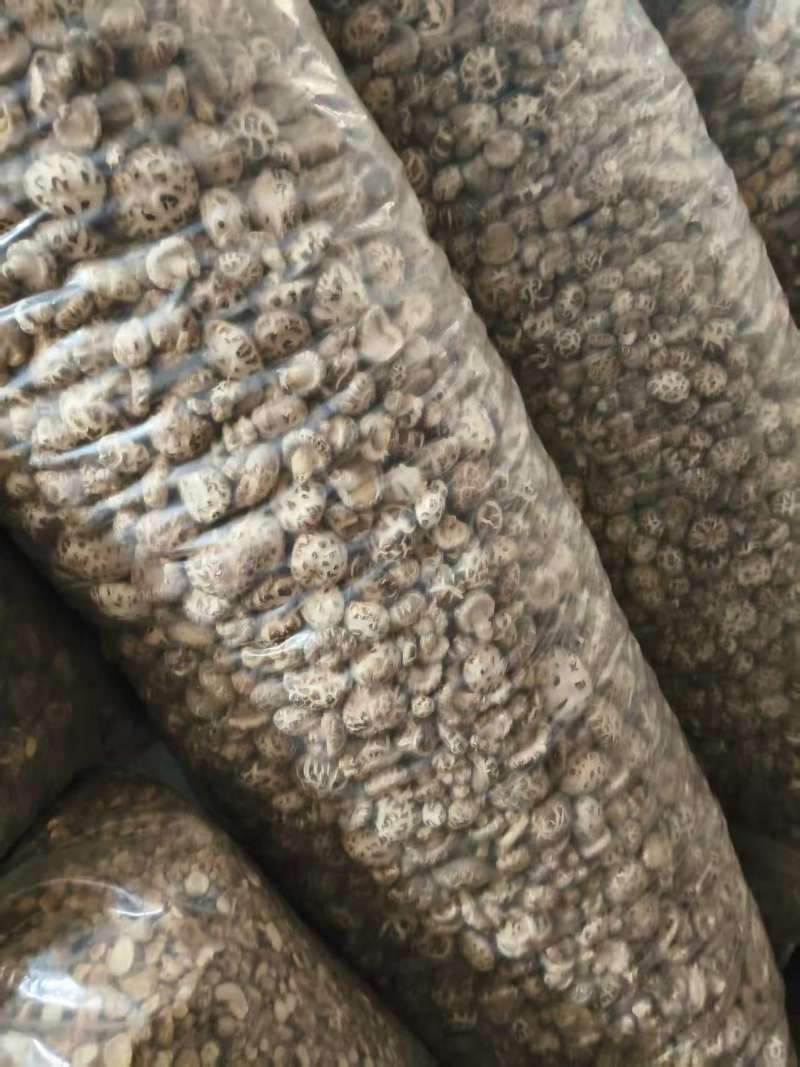 精品干花菇，品质保证，产地直发，支持视频看货