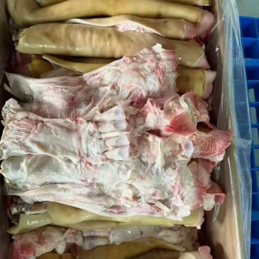 生全去骨牛蹄带主筋品质保证服务周到价格美丽