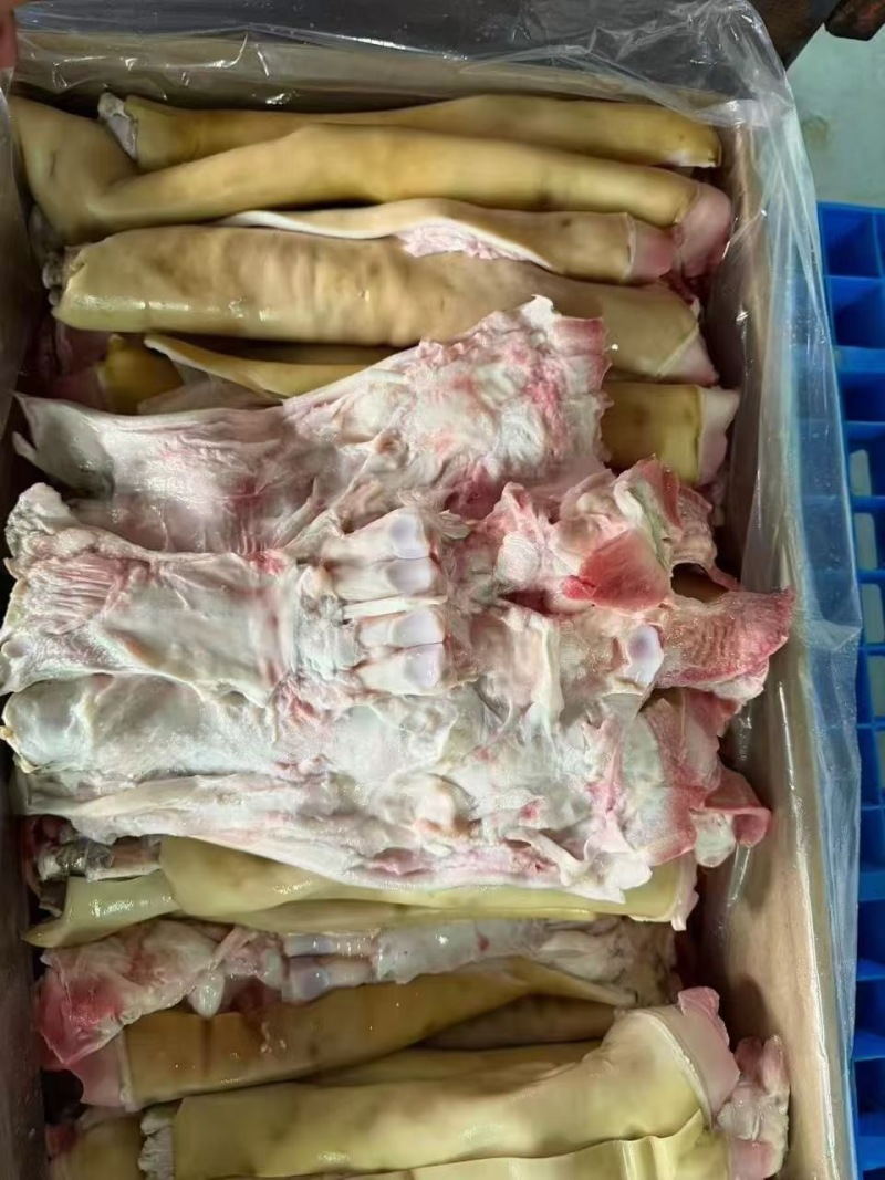 生全去骨牛蹄带主筋品质保证服务周到价格美丽