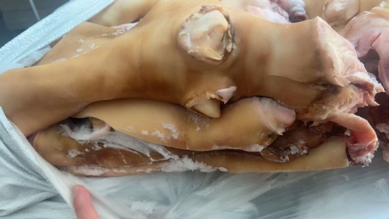 生全去骨牛蹄带主筋品质保证服务周到价格美丽