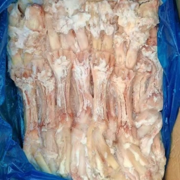 国产纯干生牛蹄主筋品质保证价格美丽欢迎联系咨询