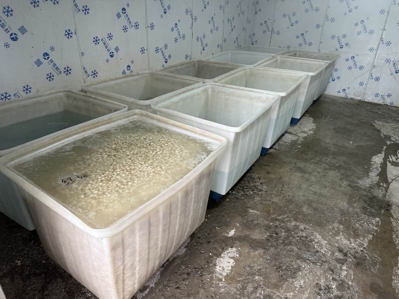 精品珍珠马蹄，广东货源，入口即化，去皮，品质保障欢迎电联