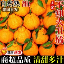 四川不知火丑橘一件代发产地直发一手货源对接各大电商平台