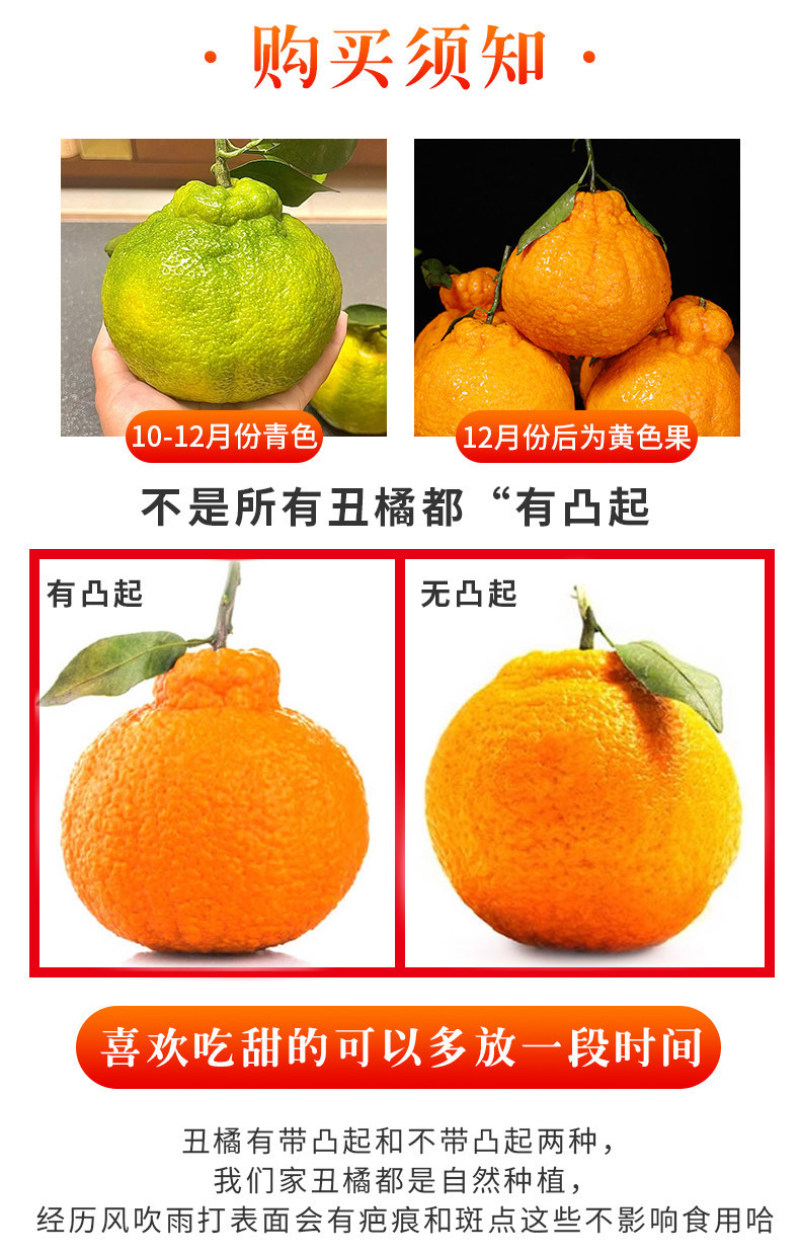 四川不知火丑橘一件代发产地直发一手货源对接各大电商平台