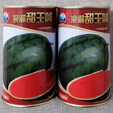 浪潮甜王06西瓜种子暗花皮特大高糖甜王奶香西瓜种籽香甜
