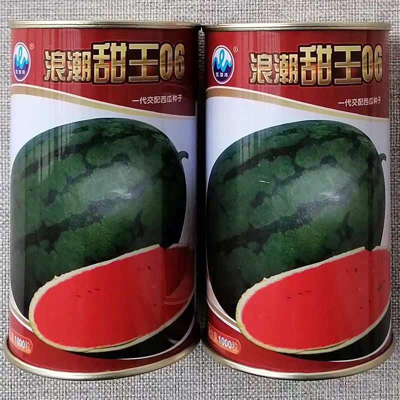 浪潮甜王06西瓜种子暗花皮特大高糖甜王奶香西瓜种籽香甜