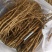 牡丹苗一年苗两年苗种植现挖现发新鲜产地直发量大优惠