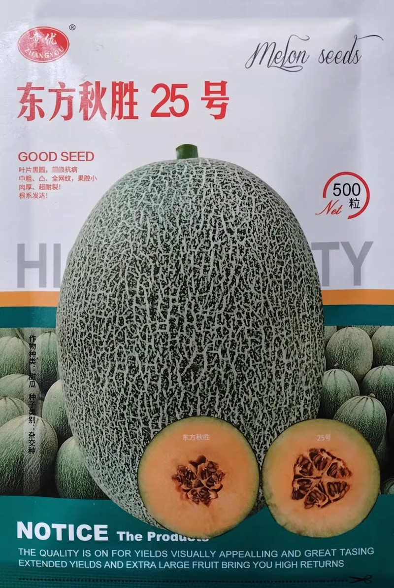 哈密瓜种子东方秋胜25号杂交中粗全网纹甜瓜种籽肉厚耐裂果