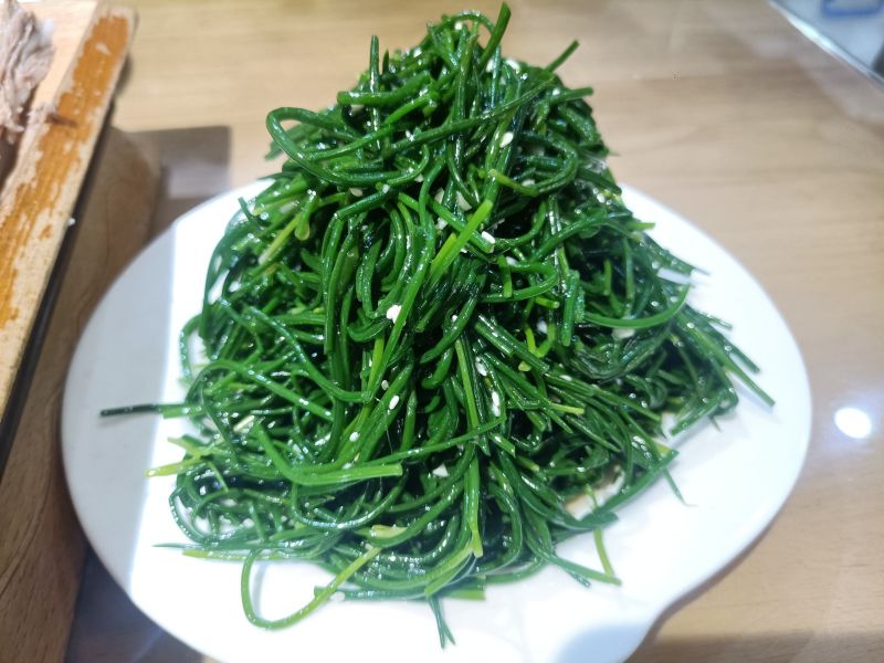 精品沙葱产地一手货源现挖现发可视频看货保质量