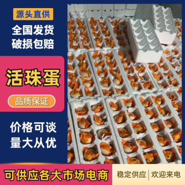 【推荐】活珠子，线上一件代发，对接各大商超电商
